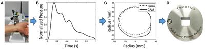 Application of Magneto-Rheological Fluids for Investigating the Effect of Skin Properties on Arterial Tonometry Measurements